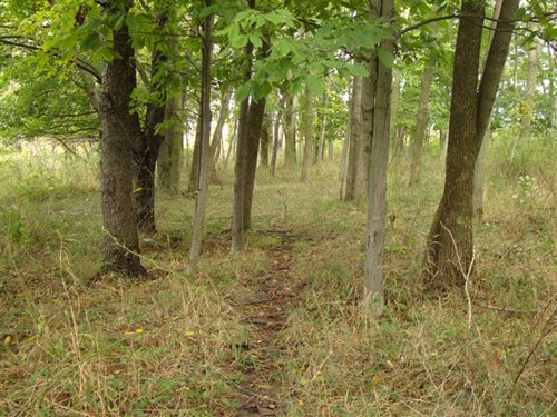 Property photo 2 - 133+/- Acres Offered in 4 Tracts - Farmland, Hunting & Recreation or Future Building Sites